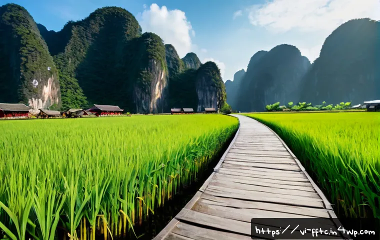 Mã hóa dữ liệu: Khi nào doanh nghiệp cần đầu tư và cách chọn giải pháp phù hợp 4 데이터 암호화 및 그 중요성 관련 이미지 2